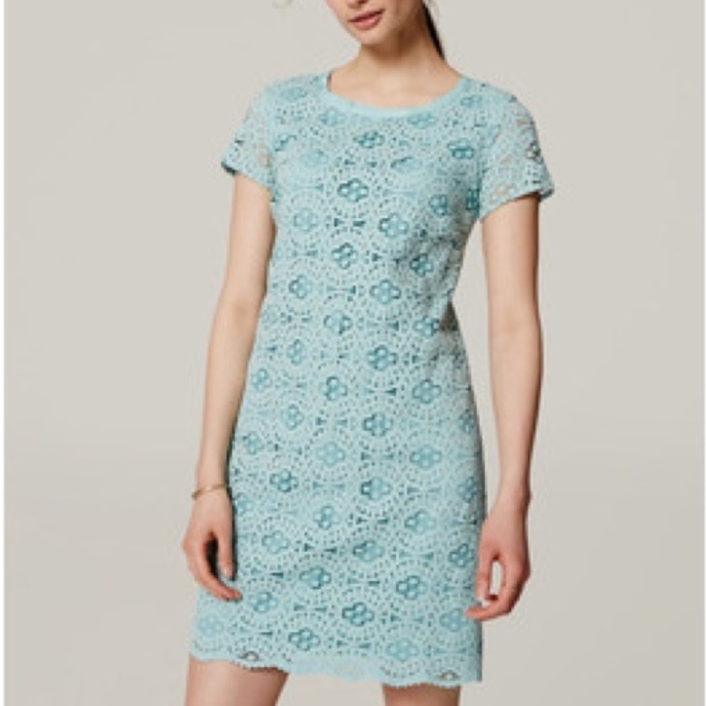LOFT Light Blue Lace Dress
